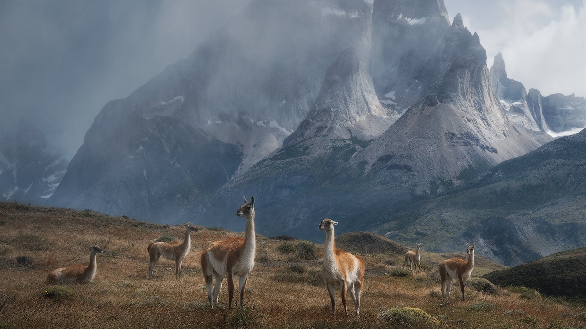 爱游戏体育网页版-广场舞进社区活动在各地开展，社区广场舞活动主题